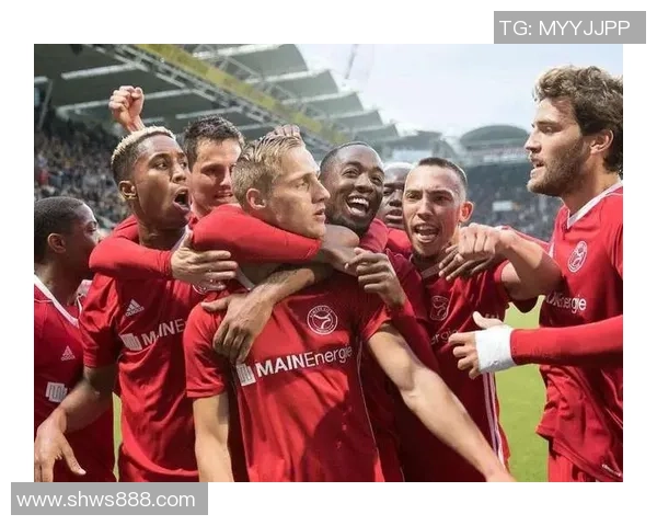 荷乙联赛登博思对阿尔梅勒城比赛因故推迟球迷期待新日期公布