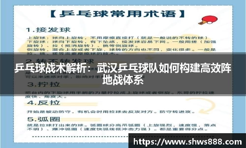 乒乓球战术解析：武汉乒乓球队如何构建高效阵地战体系
